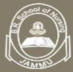 BR College of Nursing and Paramedical Sciences