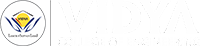 Vidya College of Engineering (VCE)