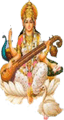  MCL Saraswati Bal Mandir Senior Secondary School