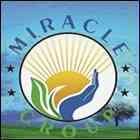 Miracle Paramedical College