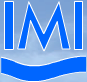 International Maritime Institute